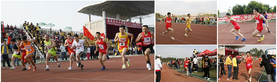 凝心聚力梦飞翔--记我院参加福建医科大学第三十二届运动会