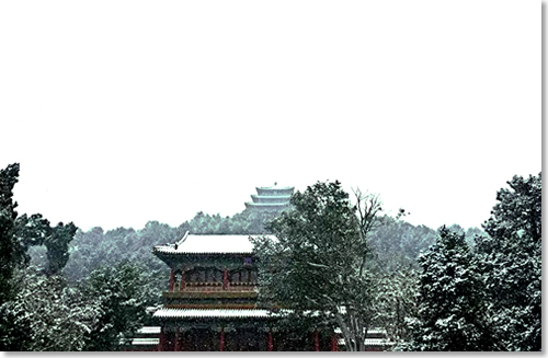 又见飘雪