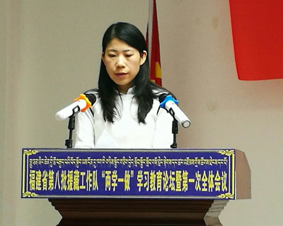 援藏随感：真情融入 春暖杏林--“两学一做”学习教育论坛上的发言