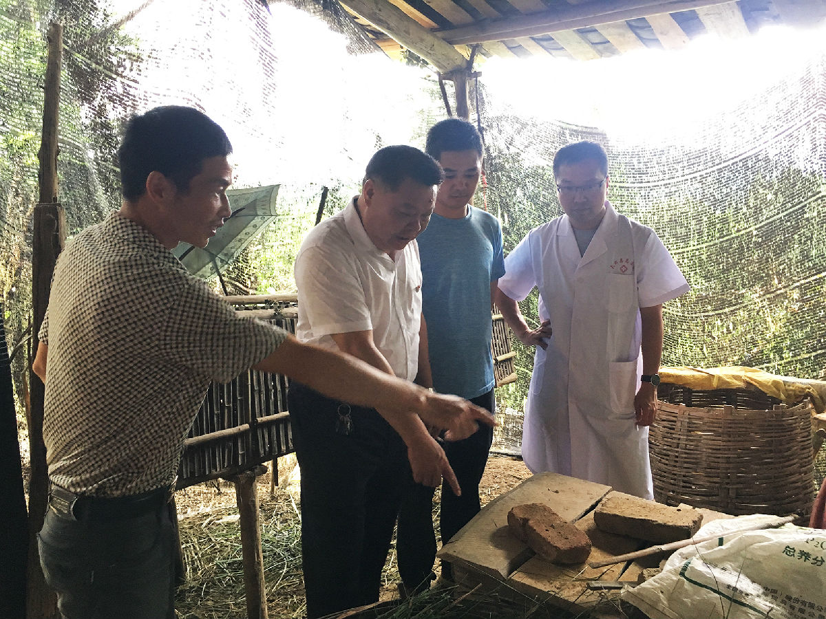 行竹林深处，见扶贫福音 ——第一临床医学院“医心相护，逐梦红颜”赴革命老区三明市大田县医疗实践队慰问武陵乡贫困户陈夏钦先生家