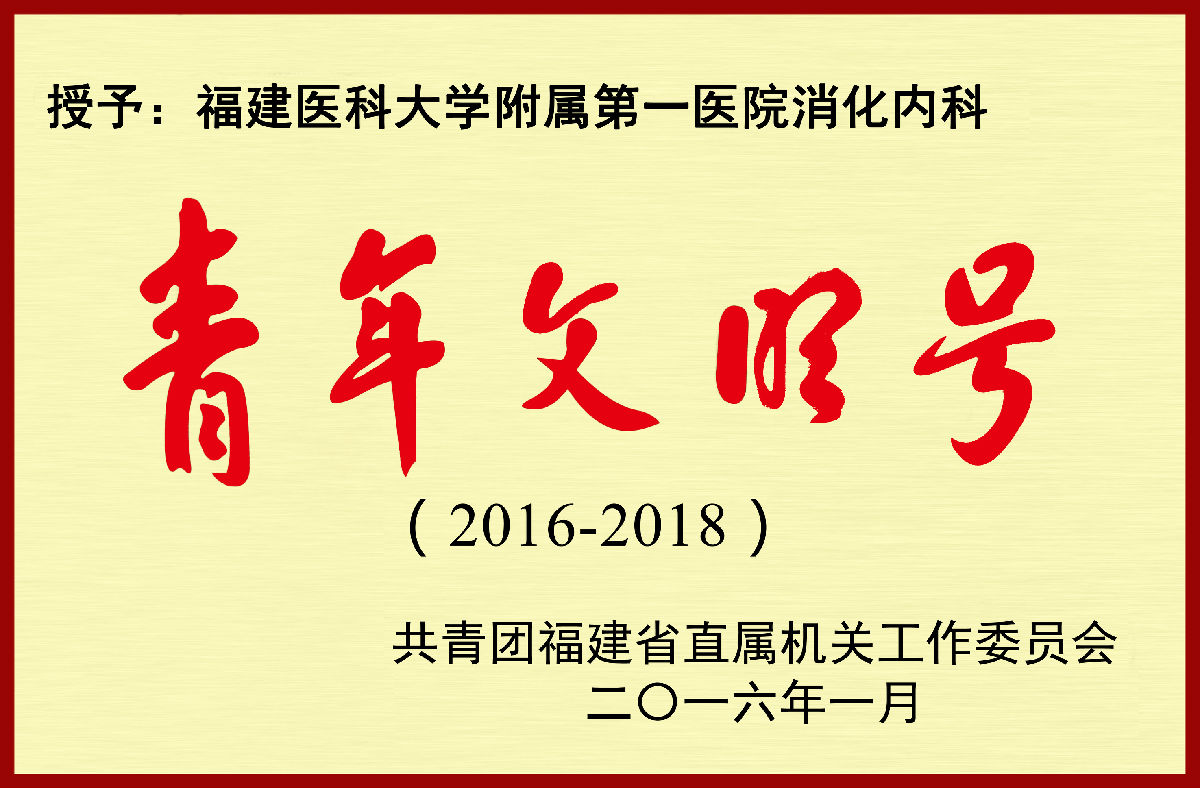 卫（胃）健康，常（肠）相伴 ——福建医科大学附属第一医院消化内科申报省级“青年文明号”事迹材料