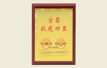 【“宜昌抗疫功臣”纪念牌】
