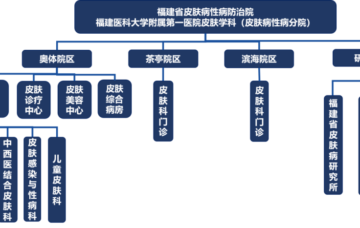 皮肤科简介