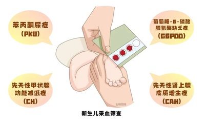 『附一科普』宝宝的第一张体检报告怎么看？新生儿遗传代谢病筛查该怎么做？福医附一医生来解答